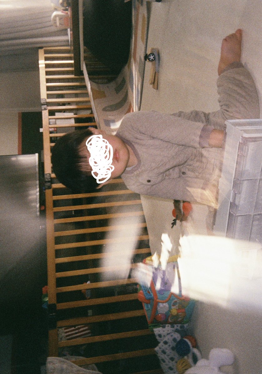 P_mtak's tweet photo. 明日のフジにハーフフイルム持ってこうと思って入ってたフィルム使い切って現像したらこういうのが出てきて毛穴から声出た https://t.co/DAT4PAaTpO