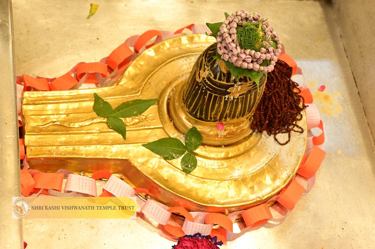 ShriVishwanath's tweet photo. श्री काशी विश्वनाथ जी की मध्यान्ह-भोग आरती I
#kashi #darshan #kashivishwanath #VishwanathDham #blessings https://t.co/mUgnEmws2A