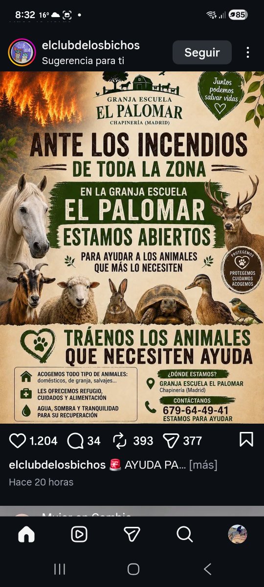 NoayNemo's tweet photo. @Eme_Morte Aqui tienes.
Yo vivo en Takamanca y tengo gatos, ahora estoy cuidando a uno de los mios por una amputación en un dedo.por un carcinoma. Espero el alta la prox semana. Si luego puedo echar una mano, te escribo https://t.co/DiqK6VjNxJ