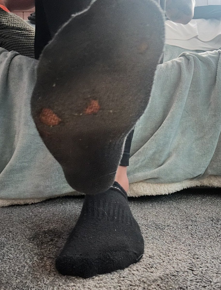 claras_socks's tweet photo. Clean my dirty sweaty socks and feet looser #socks #feet #goddess https://t.co/WgKO2KwRoQ