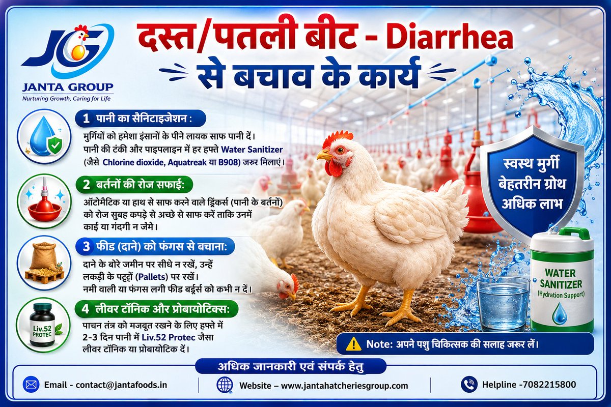 jantafoods's tweet photo. “दस्त/पतली बीट - Diarrhea से ब���ाव के कार्य”
Email - contact@jantafoods.in Website – https://t.co/DKdmOuoyDO Helpline -7082215800
#Jantagroup
#poultry
#poultryfarming https://t.co/y3J8QSSh5n