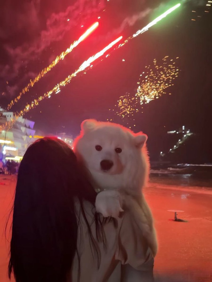 animalkyat's tweet photo. 花火大会で見かけた花火見れてないサモエド見て https://t.co/UIP0cXqKi7