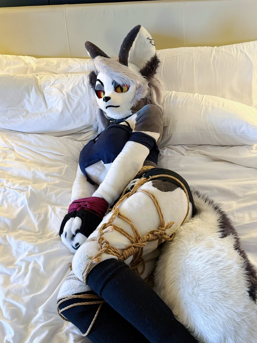 YinCollie's tweet photo. Help me?…😘

#helluvaboss #loona #furry #fursuitfriday https://t.co/Q23AQx6gEi