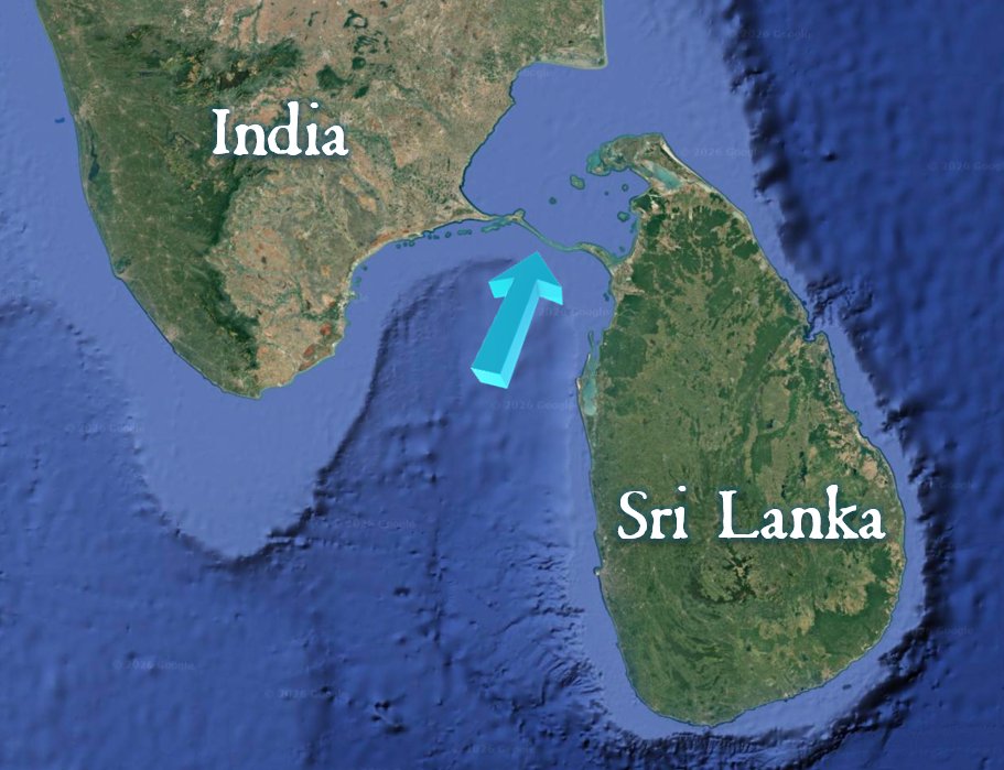 theiaincameron's tweet photo. Look closely at southern India, and how a spur of land (Adam's Bridge) extends a long way out towards Sri Lanka. The sea between the two countries is only 21 km (13 mi). 

Until 1480 it was possible to traverse the two countries on foot, until a cyclone changed the geography. https://t.co/sQomVFMQnn