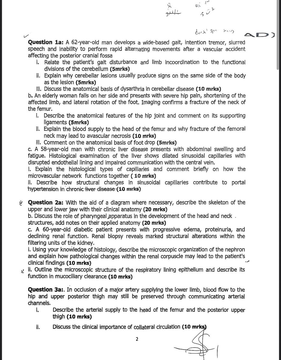 f_oyekoya's tweet photo. This exam still haunts me… 
This is ABUAD ANATOMY (2026)
Me sef know say I write EXAM. 

Before you say anything remember “Exam is only easy when you’re not the one in the hall” https://t.co/E70goIB2o0
