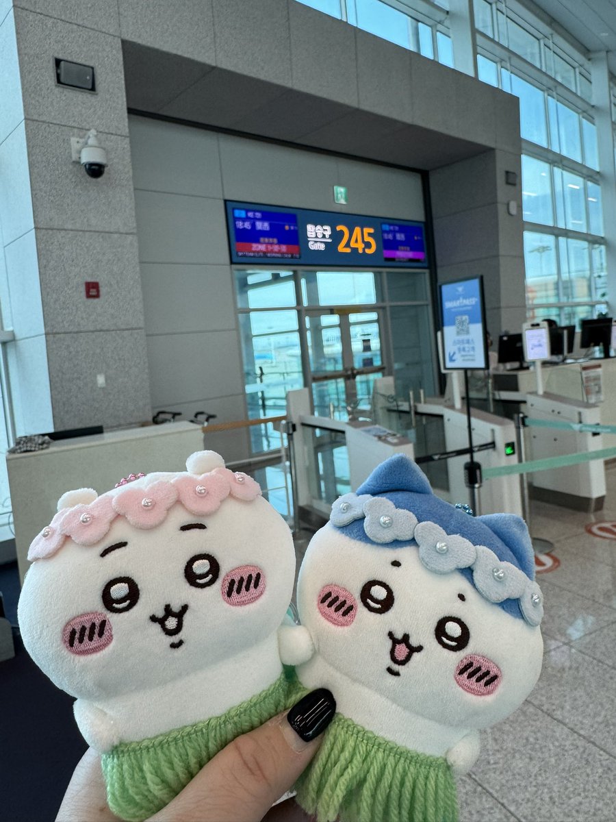 emiliahachiware's tweet photo. 帰りま〜す✈️ https://t.co/8zc7Mr5mp0