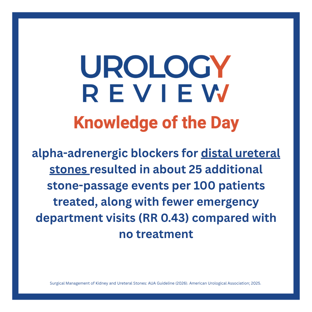urologyrev's tweet photo. Alpha-adrenergic blockers

#urologyreview #urology #urologist #urologyresidency #surgicaleducation #medicaleducation #meded #surgery #medicalstudent #medicine #medicalschool #resident https://t.co/3IPqRTuYnw