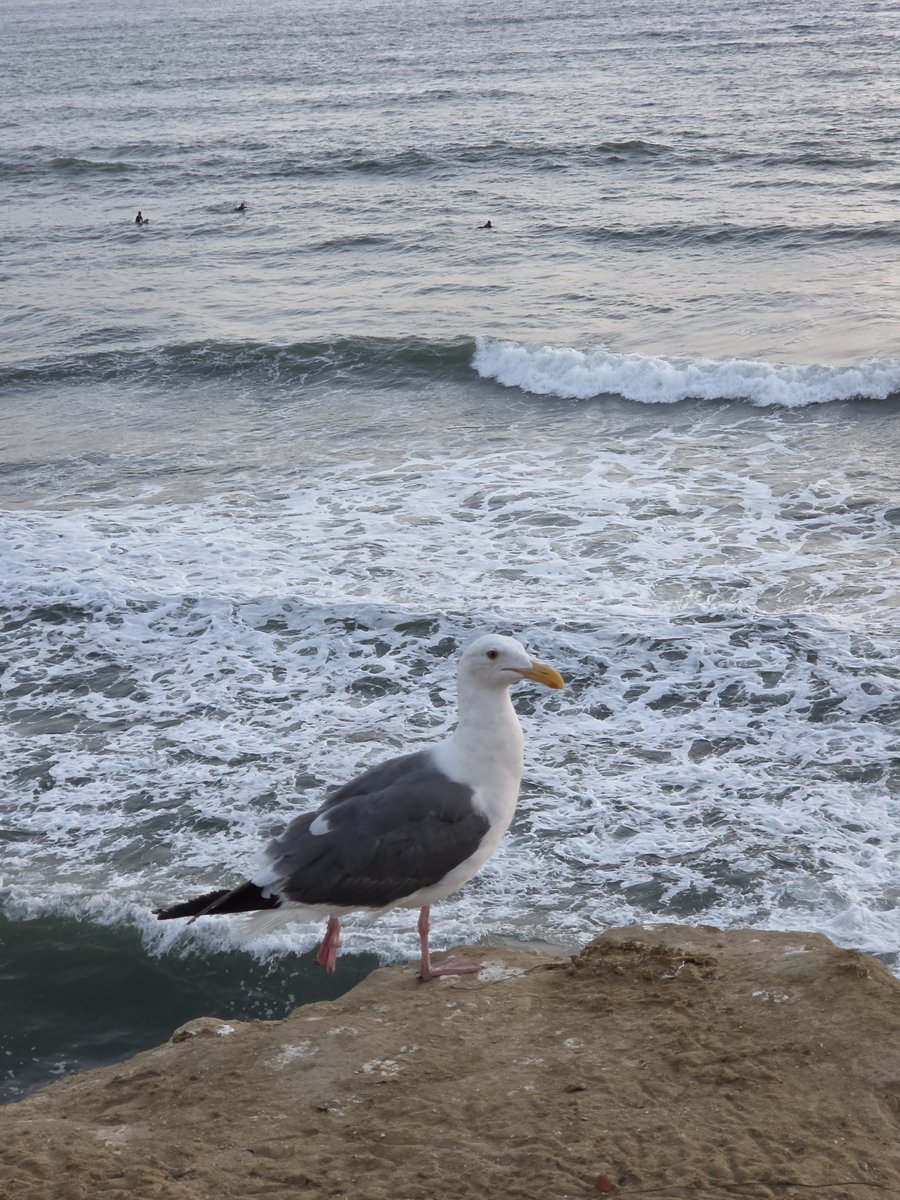 enhypenweverse's tweet photo. [ #정원’s DM ] 260724

🐈: [Picture]
🐈: It's cute
🐈: I went to the beach today hehe
🐈: The weather is very nice

@ENHYPEN_members @ENHYPEN #ENHYPEN #엔하이픈 #JUNGWON https://t.co/tOC7p9IMMW