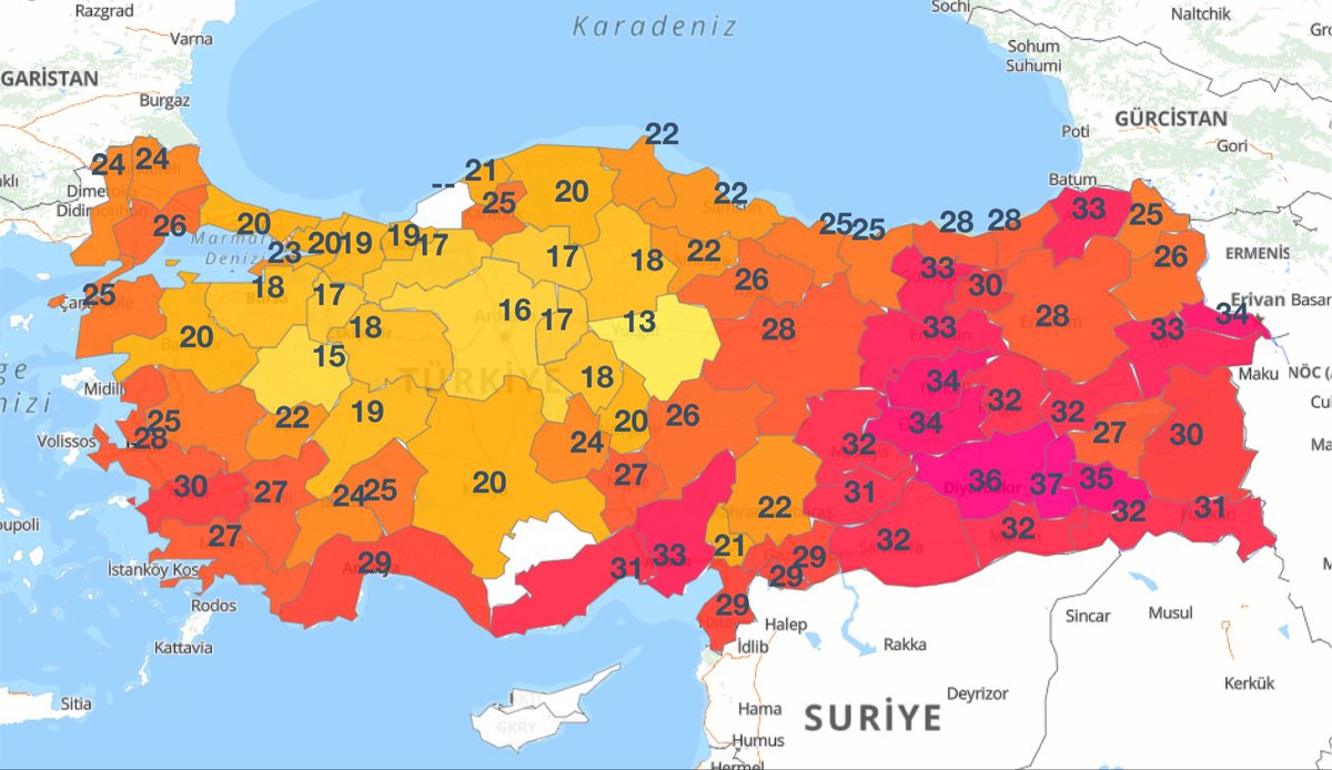 Mehmet tweet media