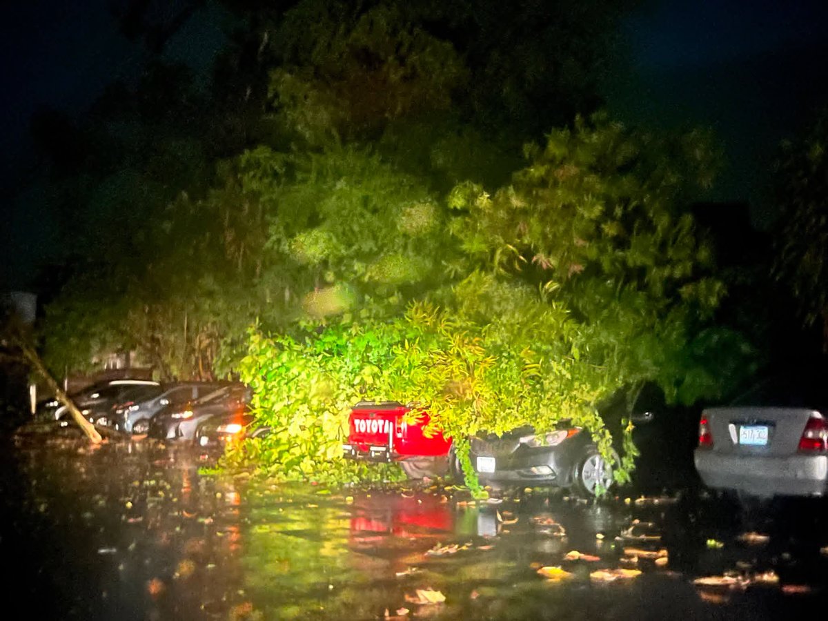 Alee68_'s tweet photo. @PROCIVILSV @AESElSalvador  reportamos árbol caído sobre la Av. Hidalgo en el Reparto Los Santos 1 de Soyapango, cayó un rayo que nos ha dejado sin luz desde las 9:30 aproximadamente https://t.co/iJPcBHMWoG