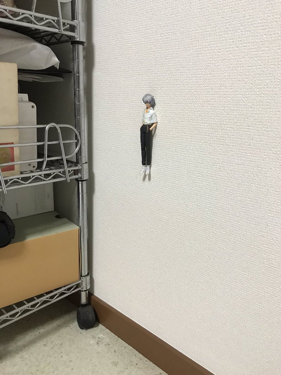A_type_aruaru's tweet photo. 棚を動かしたら壁に貼り付いた状態で出てきたカヲルくんほんと草 https://t.co/H4nT8U2L6Y