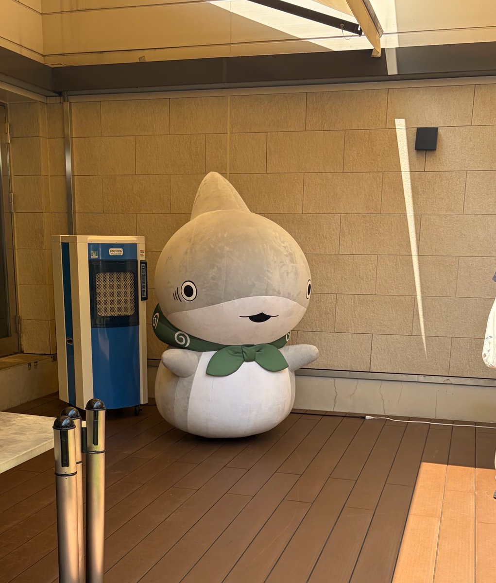 skybluesl's tweet photo. 抽選外れてチケット取れなかったので横から撮らせてもらった！かわいい！🥰
#おでかけ子ザメ展 https://t.co/8S3VGTAt3z
