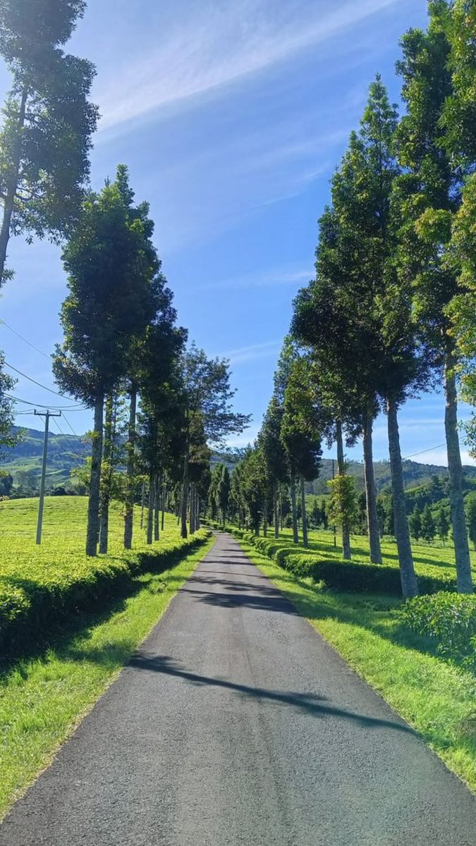 fikoefi's tweet photo. #sejuk~ 🍃🌿 https://t.co/jWqScPZ5ek