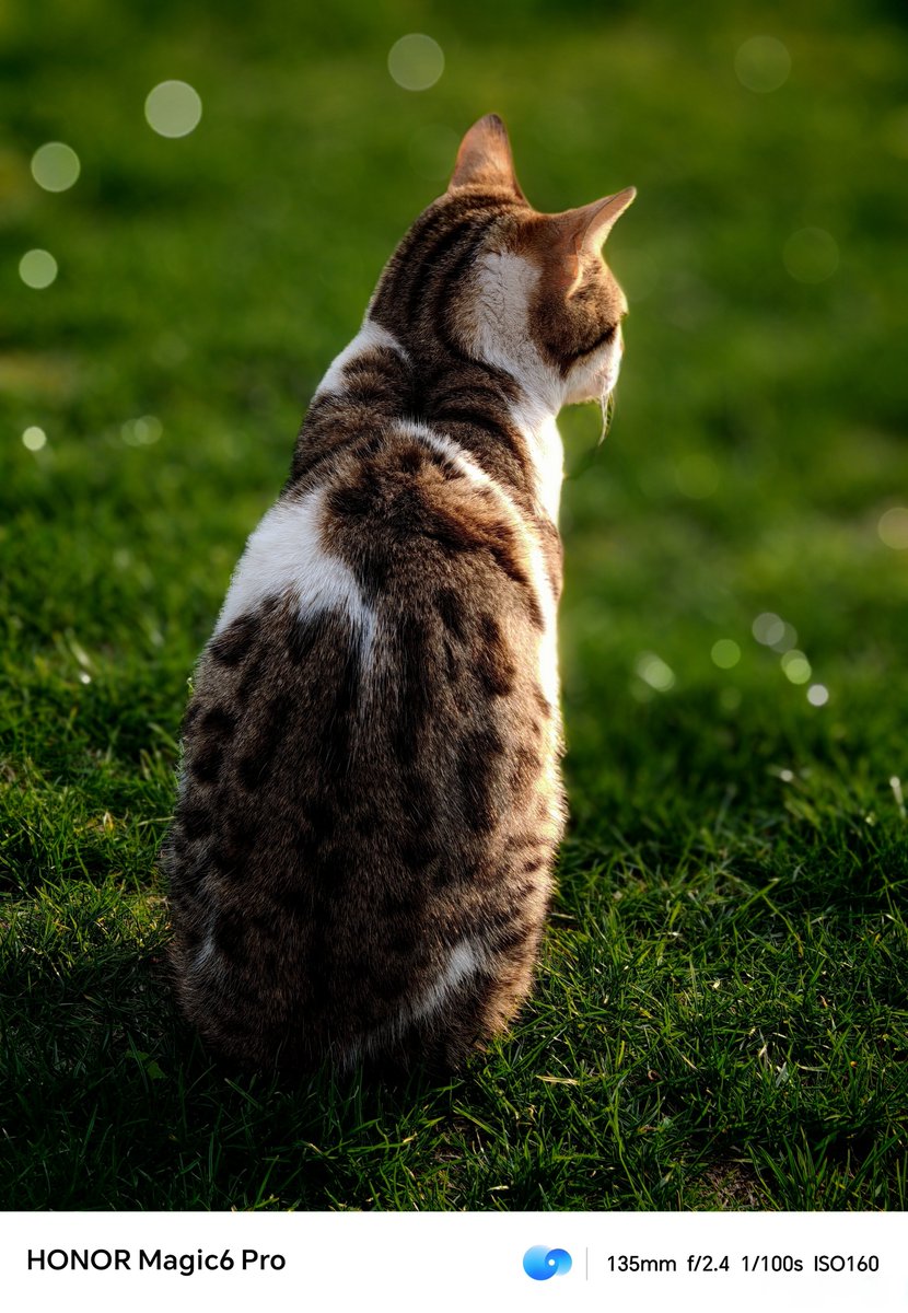 billy_stac99463's tweet photo. New to photography Master your camera’s “rule of thirds” first—place subjects off-center for eye-catching shots, not just dead middle. Try it with your coffee mug or pet today! https://t.co/QyaAypURwX