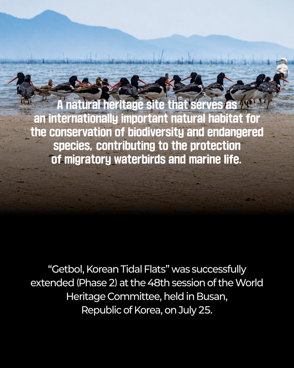 chlove_u's tweet photo. An Irreplaceable Natural Treasure of Our Planet: UNESCO World Heritage Site "#Getbol, Korean Tidal Fats" Phase 2 Extension!
The site has now extended into a serial property comprising 6 components, adding four new areas - Seosan, Muan, Goheung, and Yeosu - to the original four. https://t.co/0WkdUOiZJv
