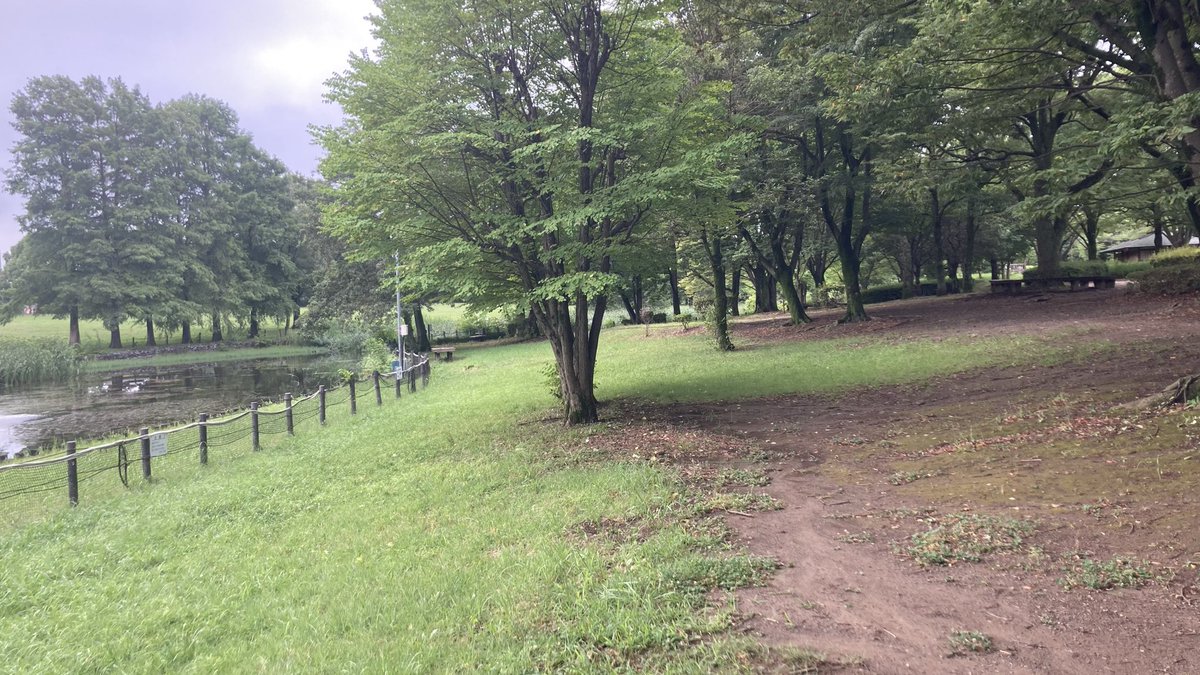 otamjack2's tweet photo. こんにちは。
朝寝坊したので5キロ。
水鳥が全くおらずちょい悲しい。

クロカン5キロ

ちょっと足りないとおもうのとなんだかペース遅くて夜またはしろ。 https://t.co/ndUOU3Rr1o