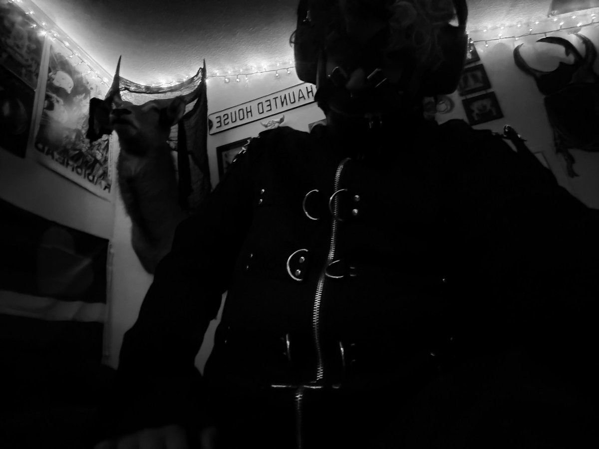 batzlostmarbles's tweet photo. Anyone call for the gimp? #facelessnsfw #bdsm #gimp https://t.co/BGs4BOoh2J