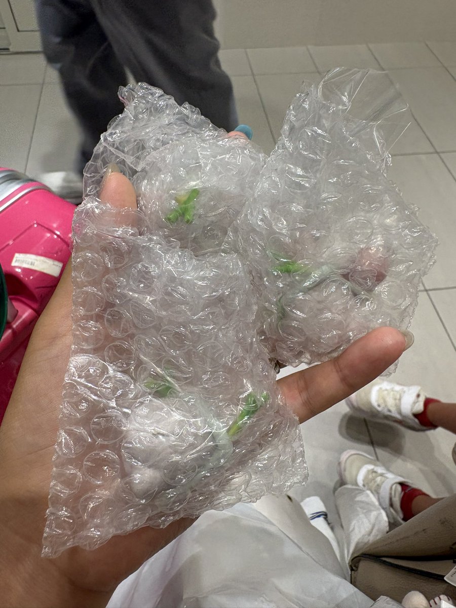 milayah26's tweet photo. やさいあそび ジブリ トトロ 交換

ネギ3こ連続〜🤣🤣🤣

譲:ネギ
求:トマト🍅

よろしくお願いします！！ https://t.co/mvyHP9P8Ua