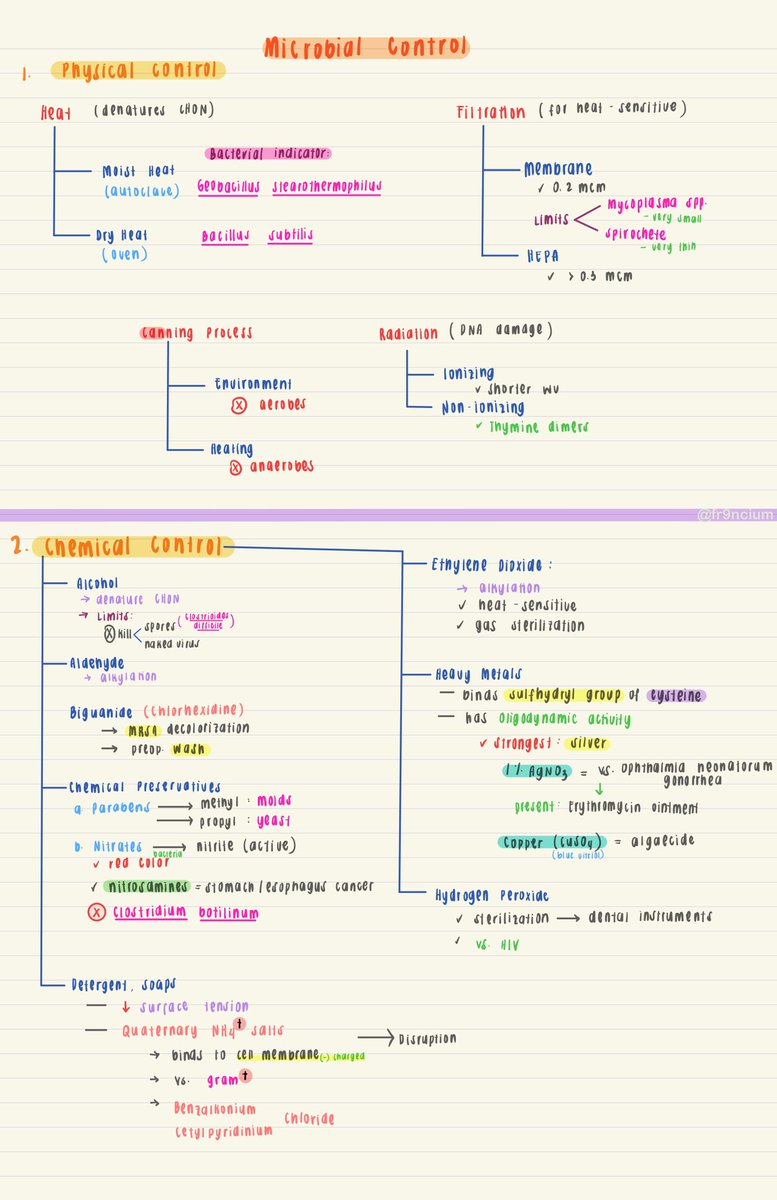 fr9ncium's tweet photo. 📌 SUMMARY OF: 

✅ Requirements in Bacterial Growth 
✅ Microbial Control https://t.co/xVhOvJ1BqJ