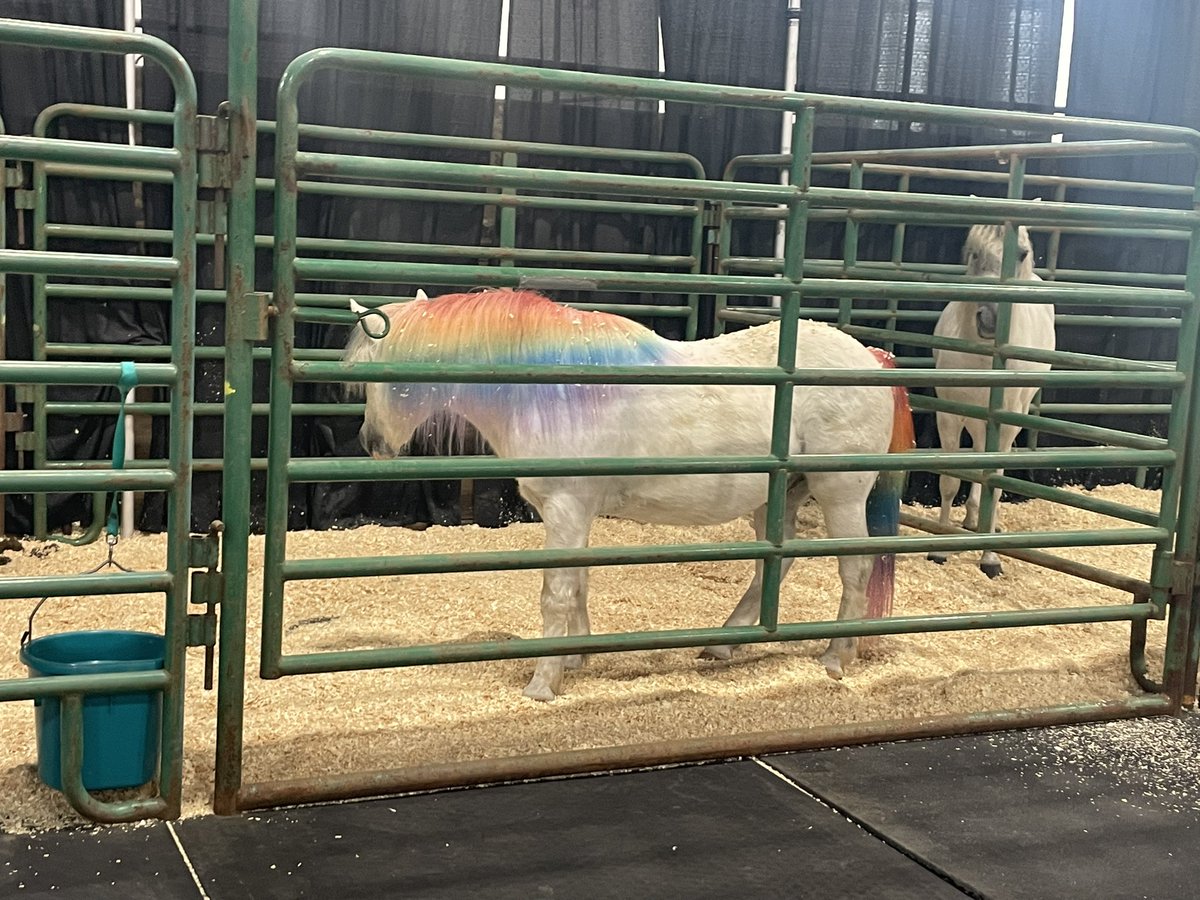 albysaur67's tweet photo. @Llesbian67 They also had unicorns? https://t.co/RII49I4FTQ