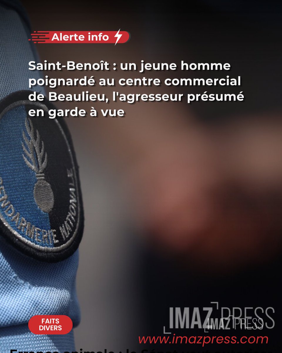 ipreunion's tweet photo. Il a été transporté au GHER en urgence absolue

https://t.co/YFNi9h14kL https://t.co/5dLi2ziI40