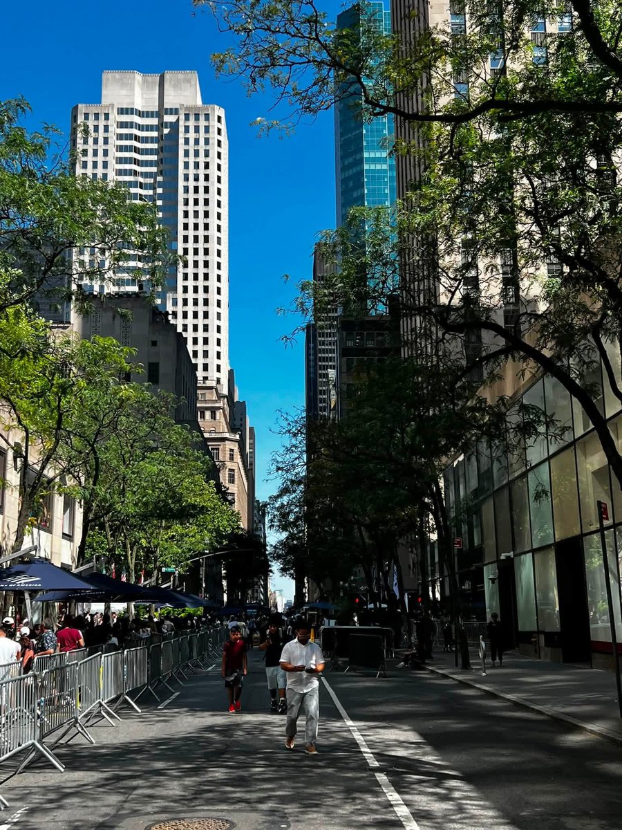 naturebeauty760's tweet photo. Midtown Manhattan New York City today ❤️🇺🇸 https://t.co/BKWCLZ5h4z
