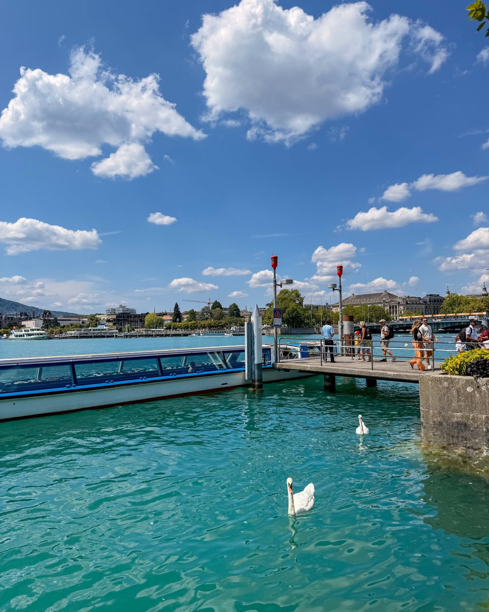 NaturalWorld515's tweet photo. Zurich, Switzerland https://t.co/EdYD2oYxPw