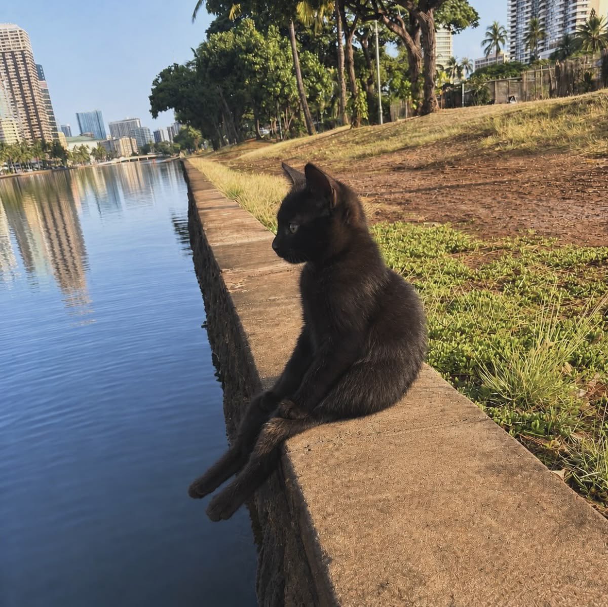 gatinarios's tweet photo. https://t.co/Fv0wCNMCBo