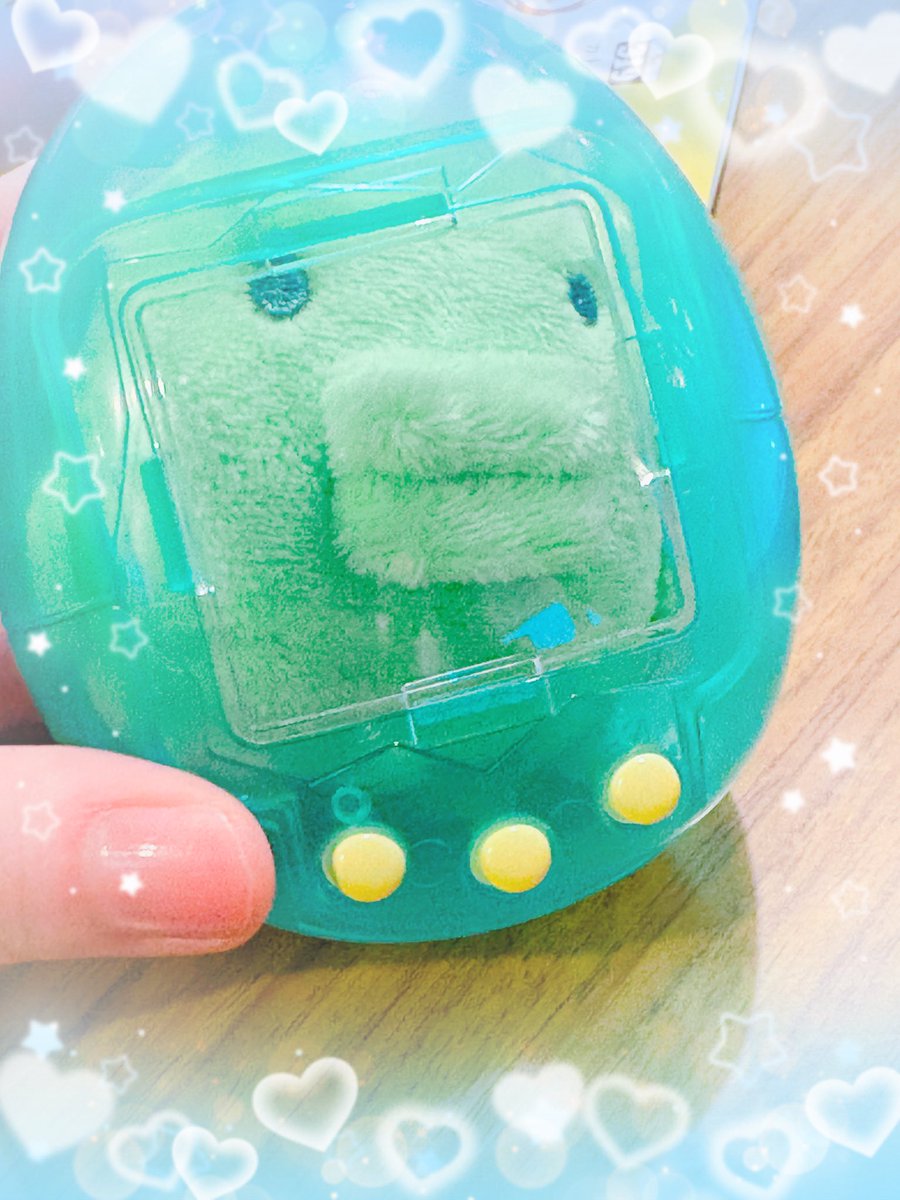 ゆらめき tweet media