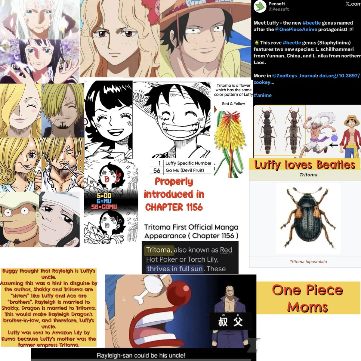 iLikeComets's tweet photo. @r0narch If has everything to do with Luffy’s mom imo https://t.co/yEGZaJeFfz