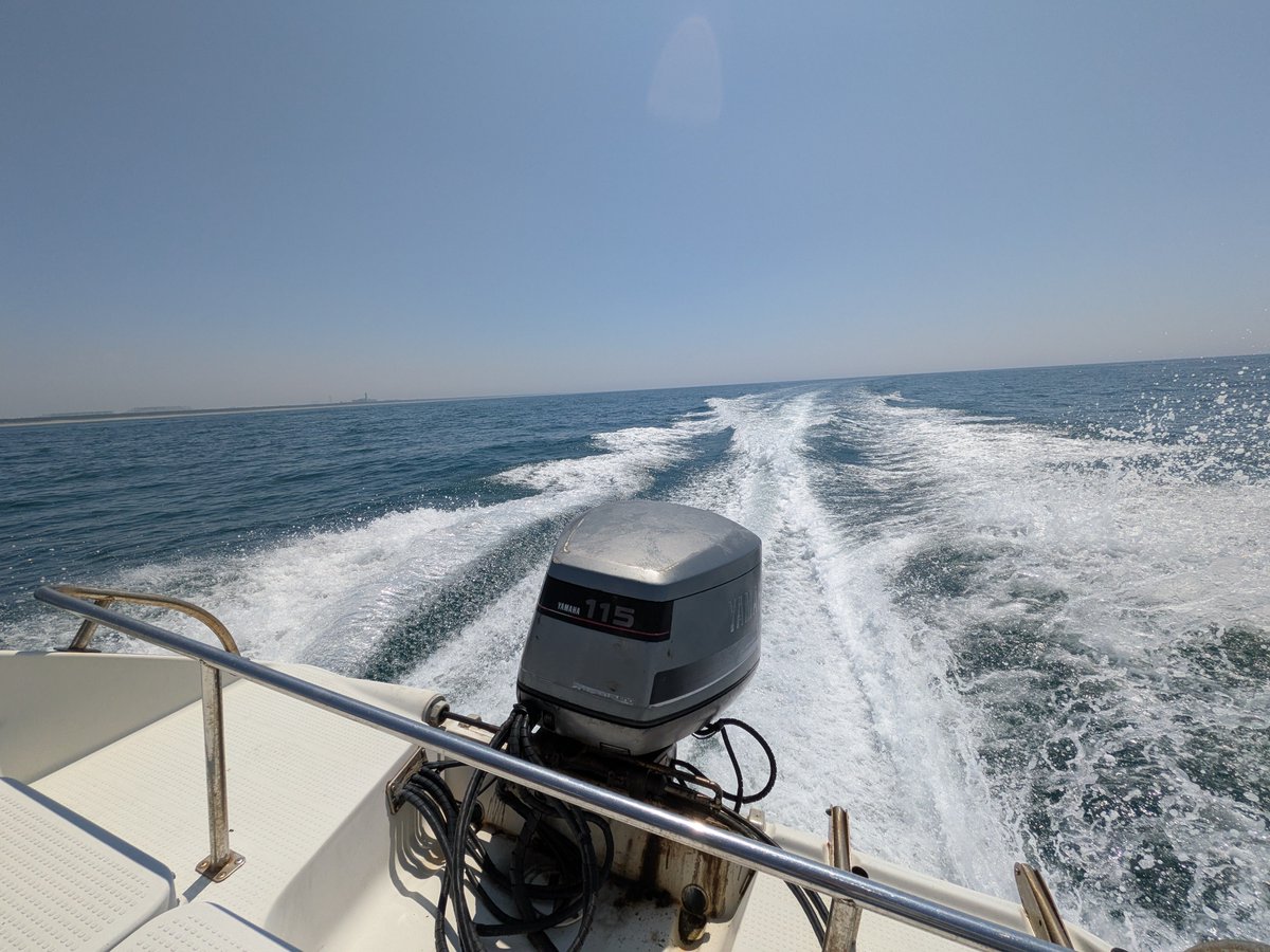 shimasaaaa's tweet photo. 遠州灘近海でライトジギング。
アジがポロポロ釣れました。
シイラがめちゃめちゃ元気！ https://t.co/lF5j9YjAqK