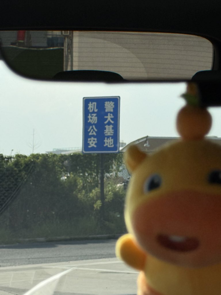 你们的小f tweet media