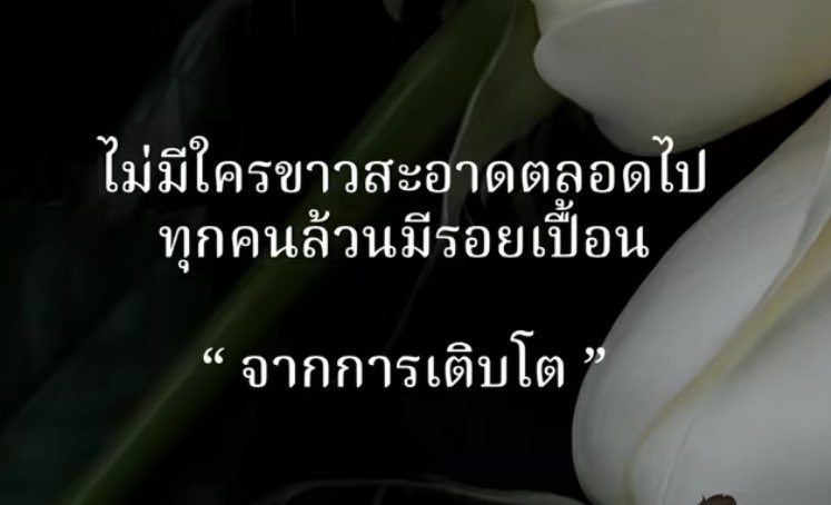 คำคมความรู้สึก✨ tweet media