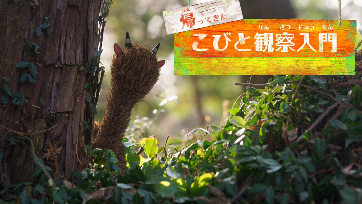 こびとづかん公式📚🌿 (@kobitodukan) / Posts / X