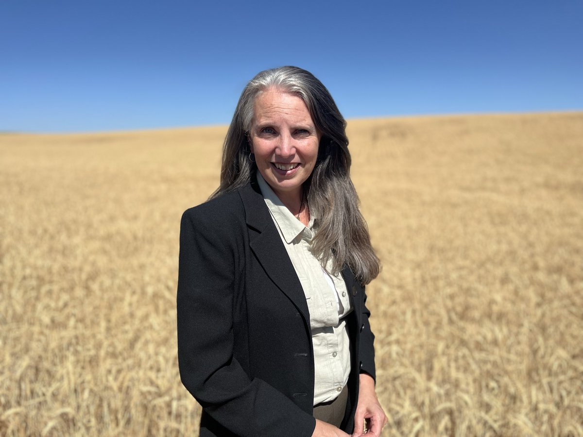 laura4position1's tweet photo. Meet The Wheat, Near Ritzville https://t.co/Xbf3H7s2NX