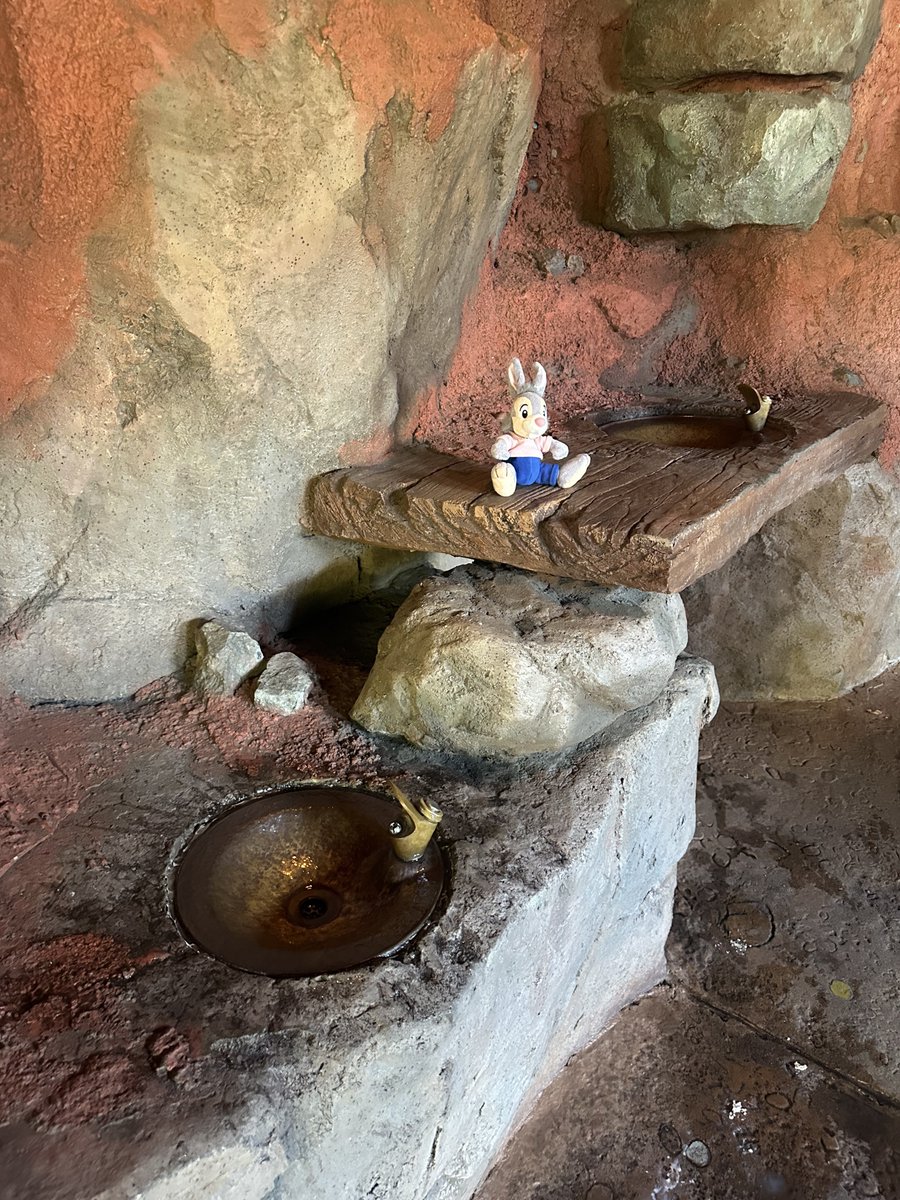 Shinoyama_wow's tweet photo. ここの水飲み場、ダントツで冷たいです！！！

スプラッシュマウンテン出口にあります！
(フート＆ハラー跡地) https://t.co/Bt9etcI3rE