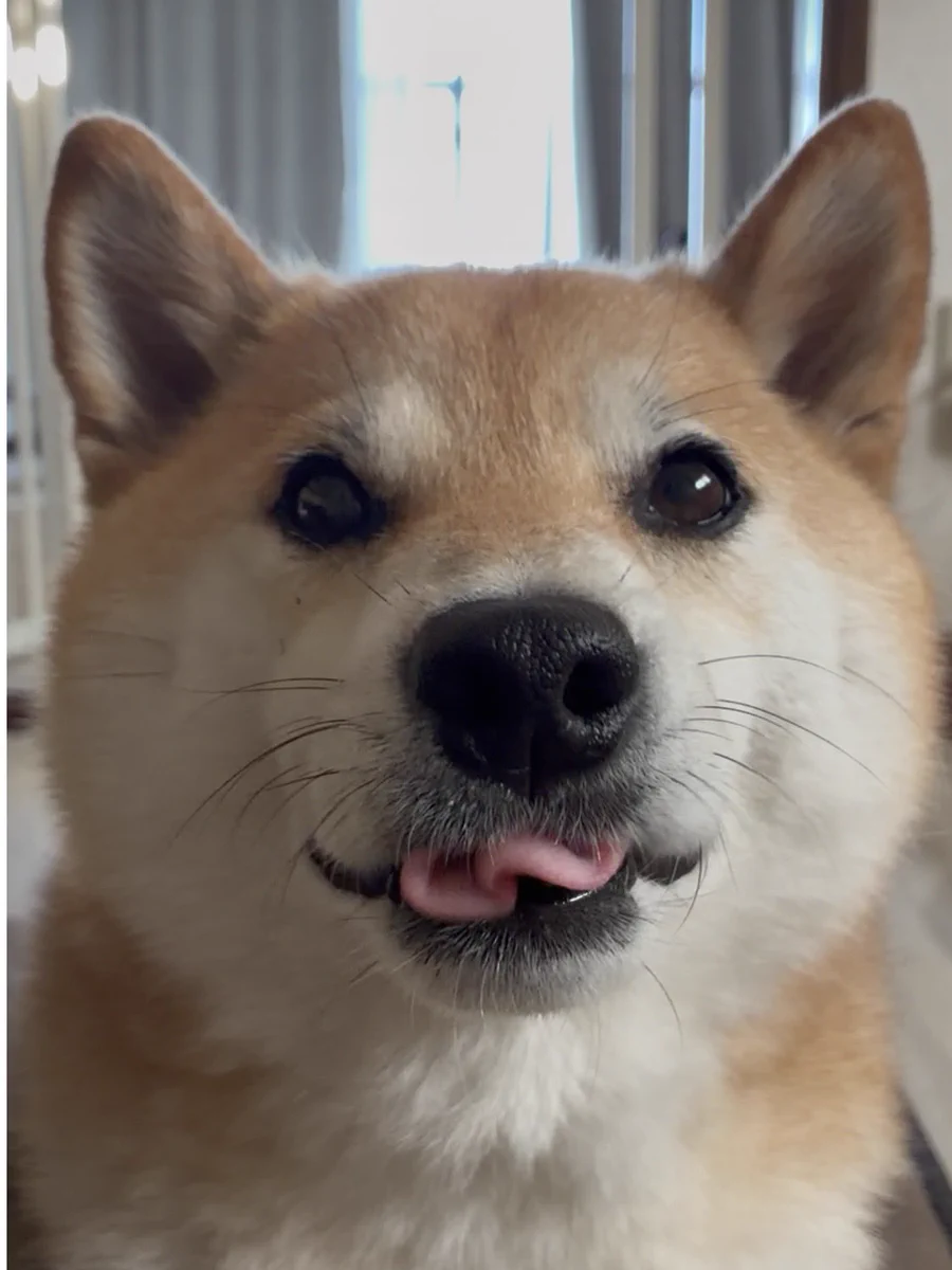 ウニ夫様⭐