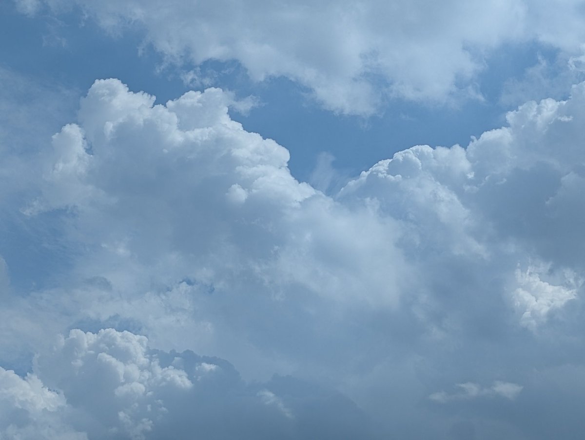horialive's tweet photo. #イマソ��� 
#暑 https://t.co/bdyBmikcnF