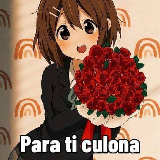 edwardcalvo5's tweet photo. Para todas las hermosas y hermosos https://t.co/pPwxcNssmA