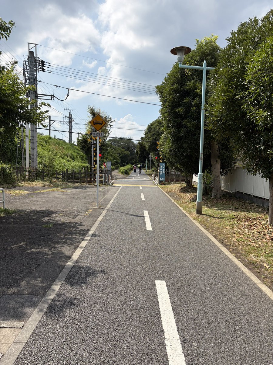 stvox's tweet photo. 夏だな https://t.co/videDq72u8