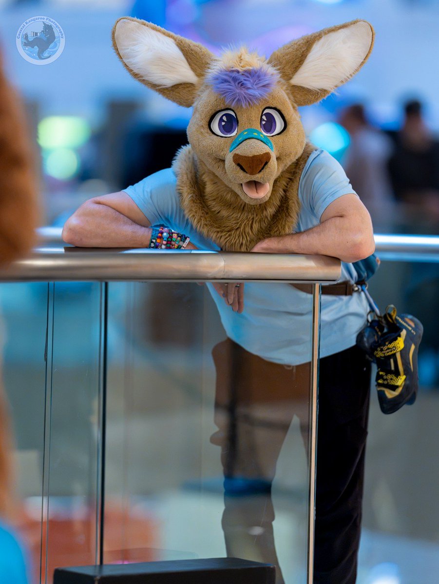 BandaidRoo's tweet photo. Sometimes you just gotta go and  do that next adventure. Happy #FursuitFriday #FWA2026 #Thowback https://t.co/sx06p5uB8A