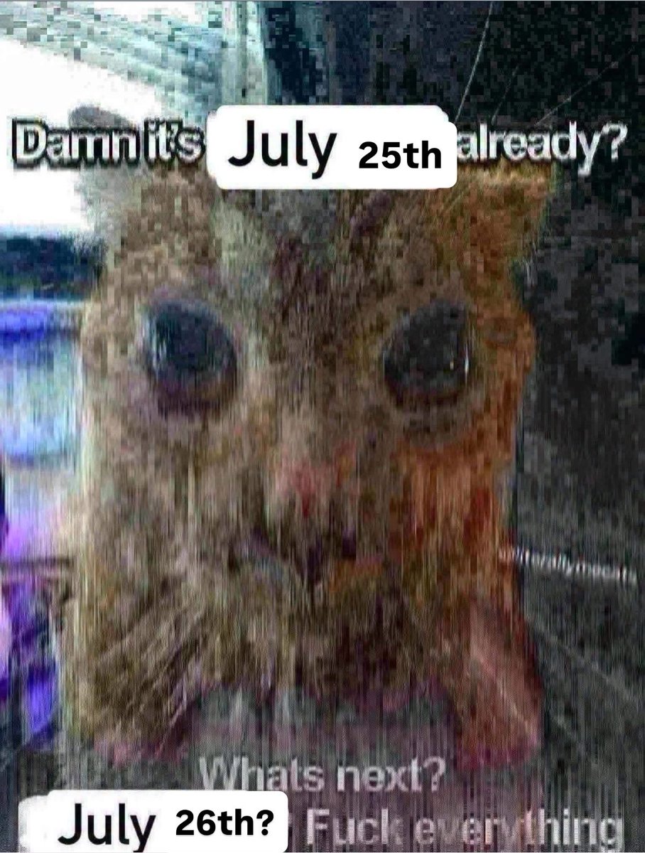 literallymecats's tweet photo. https://t.co/RF3c5PhMDT