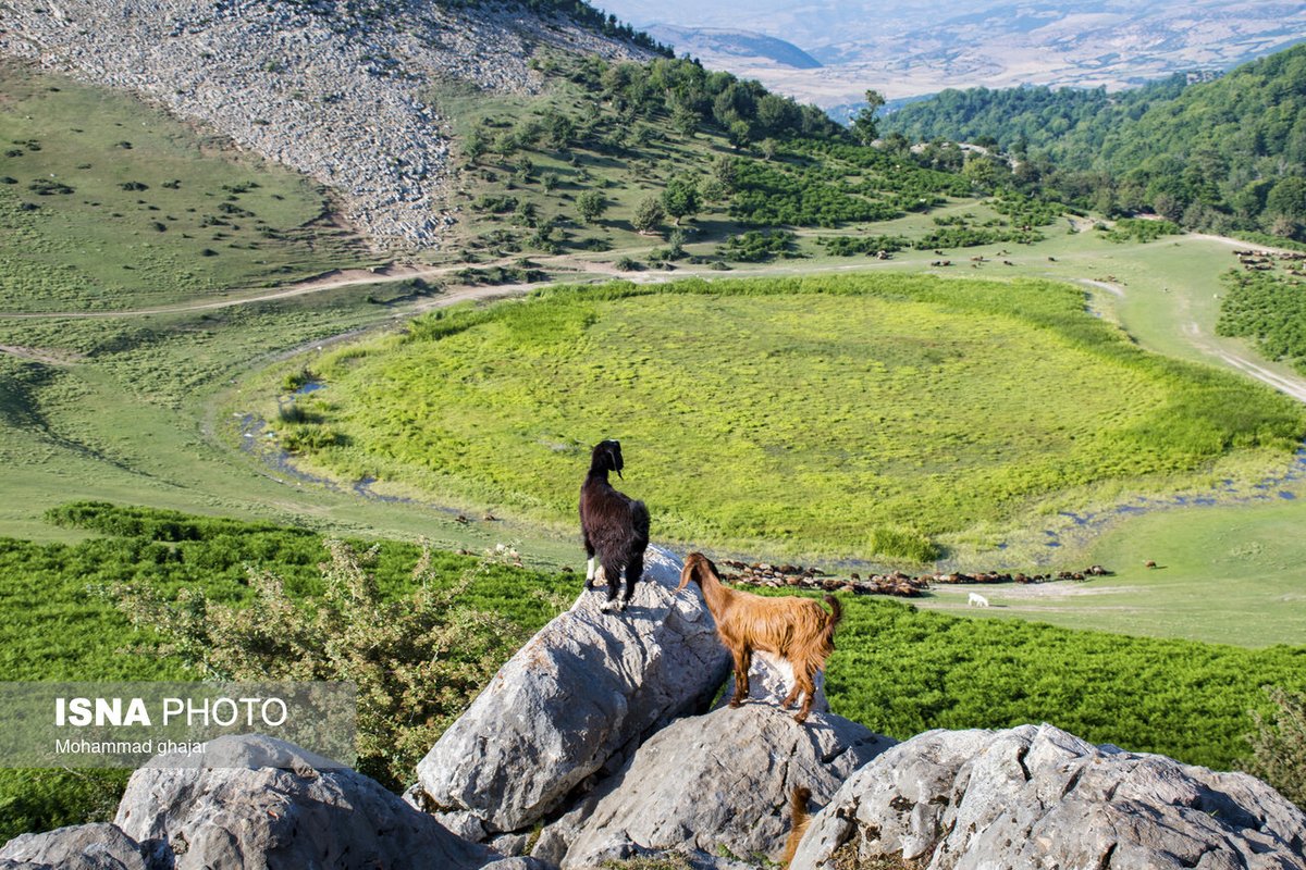 VisitIran3's tweet photo. Markoh Plain, #Golestan Province, Northern #Iran 
📸: Mohammad Ghajar
#ایران، #گلستان، #مینودشت
دشت مرکوه https://t.co/RaYKODPsSD