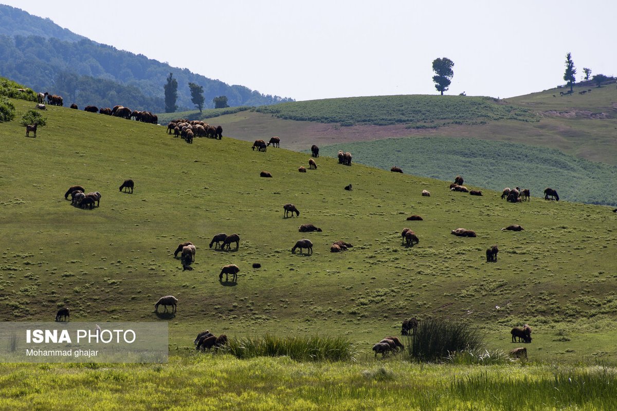 VisitIran3's tweet photo. Markoh Plain, #Golestan Province, Northern #Iran 
📸: Mohammad Ghajar
#ایران، #گلستان، #مینودشت
دشت مرکوه https://t.co/RaYKODPsSD