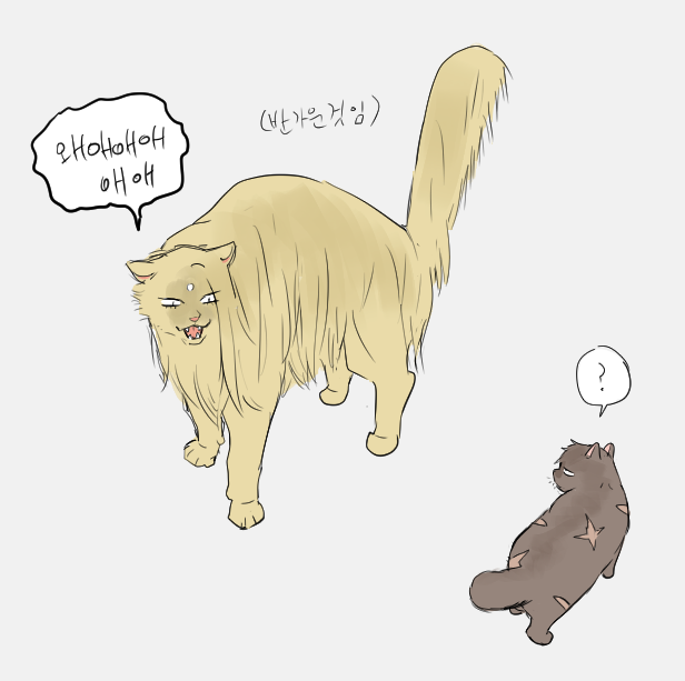 ziguck01's tweet photo. 다시 올림... https://t.co/fuXvmK1gfy