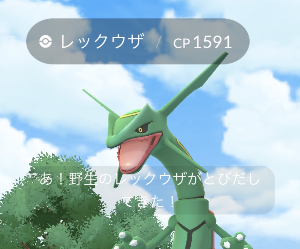 ここぺりGO tweet media