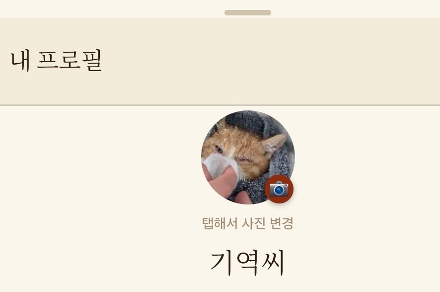 기역씨 tweet media