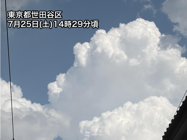 ウェザーニュース tweet media