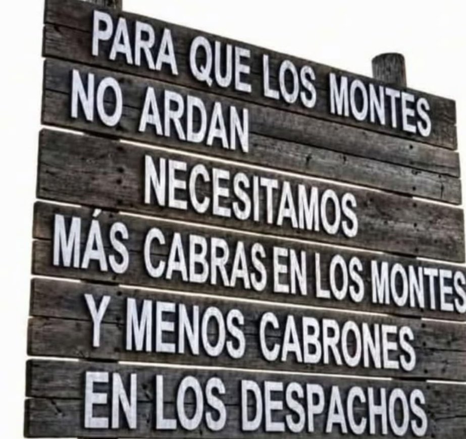 El Que Rie tweet media