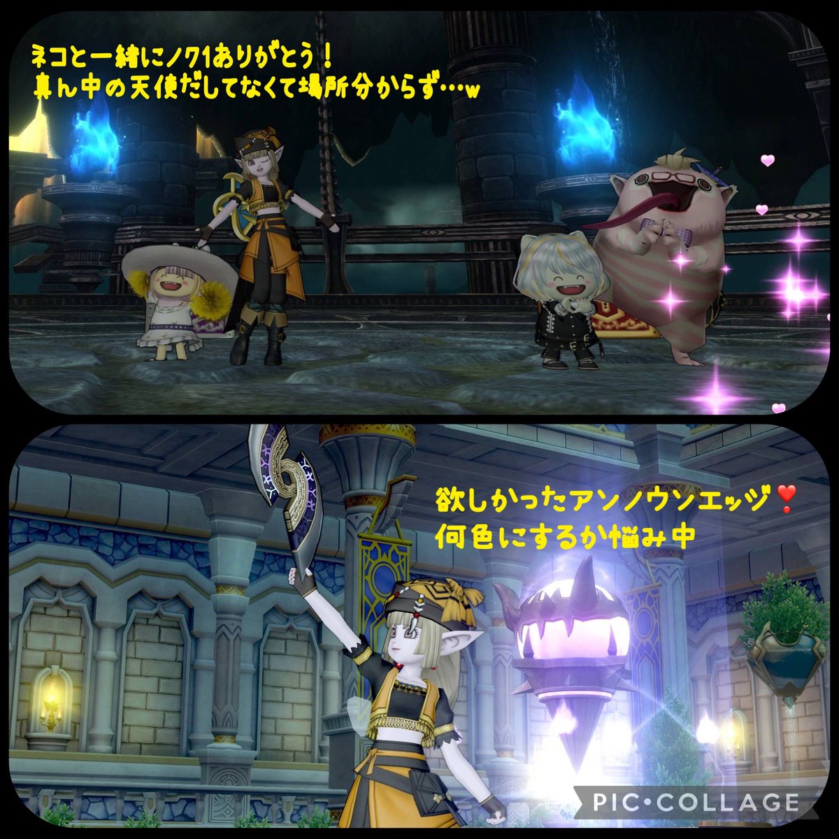 dadoooronrinrin's tweet photo. 戦闘よりパシャ活の方が長かったキラゴルドとか
お付き合いいただいたサブ子の色々。
サブでもノクいけて嬉しかった🥳
ブメもドレアできたし、
育ってくると色々できて楽しい！ https://t.co/GSM5uhJC8g